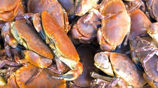 Top 5 Southern California Crabbing Locations