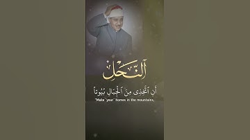 #تلاوة_خاشعة #عبدالباسط_عبدالصمد #سورة_النحل