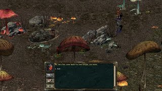 Beyond Divinity (Part 17) Act 2, Exploring the Imp Village