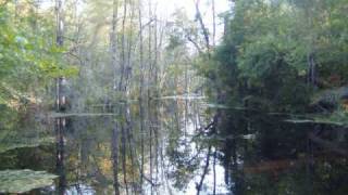 Video thumbnail of "Rodney Atkins - The River Just Knows"