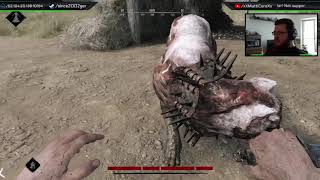 Hunt: Showdown - invisible bug - climb ladder to fix!