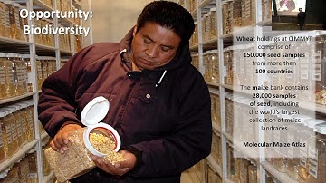 Bram Govaerts: From Science and Farmer Innovation to ... Sustainable Development Goals