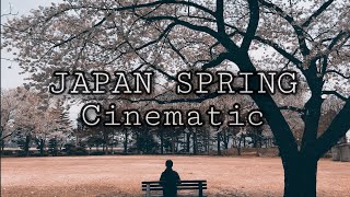 Japan Spring Season Cinematic || Said the Sky x Dabin -Superstar (feat. Linn) || Iphone 11