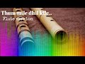 Thum  mile dil kile  flute ringtone  hindi cover songs sweet ringtones