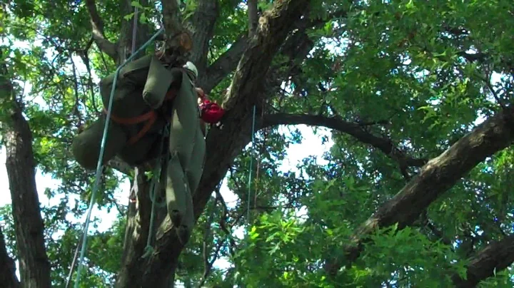 Jerel Aerial Rescue- Terry Hughes Tree Service