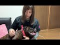 うちがまだらの可愛いところ全部おしえちゃいます。兄のはまゆう編集ww