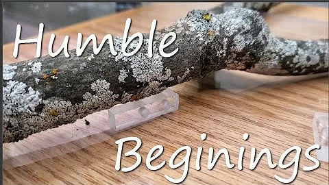 Paludarium Build Part 1