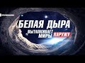 ЧЁРНАЯ ДЫРА - БЕЛАЯ ДЫРА. ЧТО ОНИ ДЕЛАЮТ?