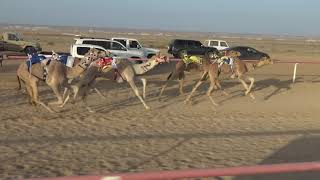 الجمعة ه الشوط الثالث مفاريد قعدان م