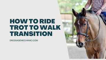 How to ride trot to walk transitions with Dressage Mechanic, Leif Aho