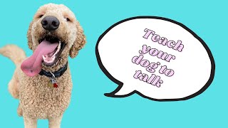 "OUT" button and how to create the association to words | TEACH YOUR DOG TO TALK using buttons!