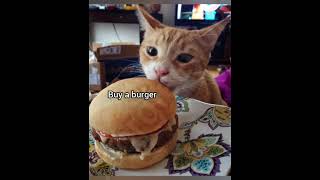 Download Lagu How to make evil burgers #georgieebom #cat #funny #fyp #memes MP3