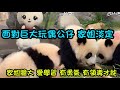 7月27日 家姐面對巨大玩偶公仔 一啲都唔驚非常淡定 帶領細佬四處探索 爸爸媽媽嘅性格特征 大熊貓家姐細佬 Panda Babypanda 大熊貓家姐細佬 Cr 港寶胖噠 7月27日 家姐面對巨大玩偶公仔 一啲都唔驚非常淡定 帶領細佬四處探索 爸爸媽媽嘅性格特征 大熊貓家姐細佬 Panda Babypanda 大熊貓家姐細佬 Cr 港寶胖噠
