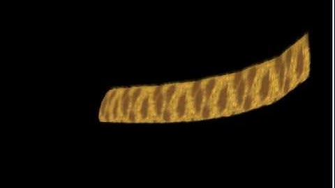 Skinning and fur shading