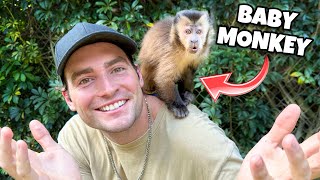 We Got A Baby Monkey !!