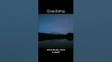 أفلا ينظرون إلى الإبل كيف خلقت؟ تلاوة القرآن الكريم خاشعة #القرأن_الكريم #عبدالرحمن_مسعد #quran