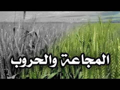 المجاعة والحروب القادمة