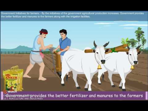 cbse-class-4-:-social-studies-agriculture-and-industries