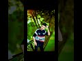 #shorts #short #lightroompresets #photoediting