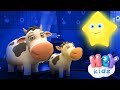 Stella Stellina ⭐ Canzoni Per Bambini - HeyKids Italiano