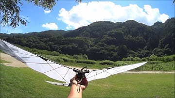 Servo drive type Ornithopter Test7 : Servo change