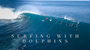 Surfing with Dolphins - Western Australia