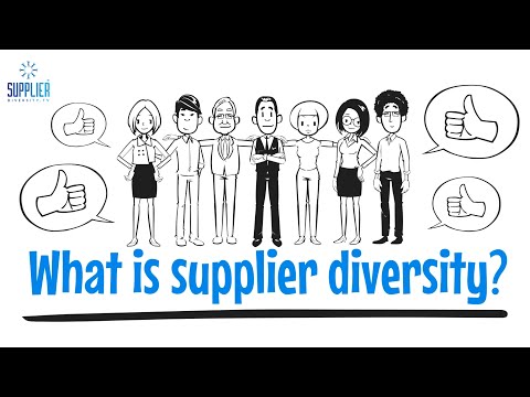What is Supplier Diversity? The Explainer Video by SupplierDiversity.TV®