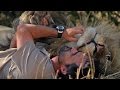 Understanding Kevin Richardson's Animal Interactions