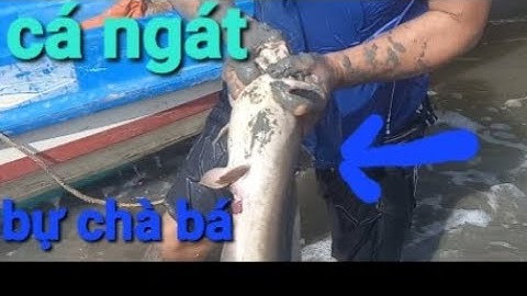 một ngày trải nghiệm đi mò cá ngát của ba anh em và cái kết