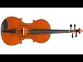Violin GRAMPUS - Ryosuke Ito (Japan) - luthier | Stage 3, concert hall