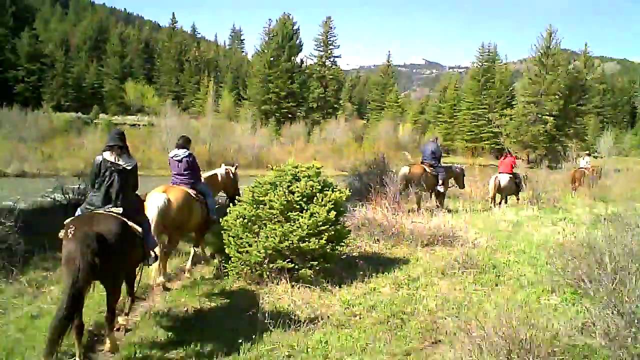 Spotted Horse Ranch 5c - YouTube