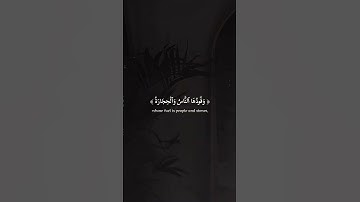 حالات واتس قرآن| القارئ شريف مصطفى