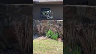 IMG 3168