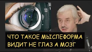 ✅ Н.Левашов: Мыслеформа - что это? Видит глаз или мозг? Ответы на вопросы читателей