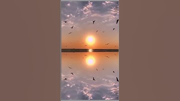 آيات هادئة من سورة الرحمن  بصوت القارئ اسلام صبحي