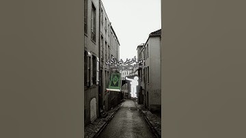 الشيخ ياسر الدوسرﮂي تلاوة القران الكريم #قران_كريم #ياسر_الدوسري