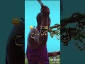 JDID DIDIN Canon 16 خلي نحسي قلبي مجروح نتي لي محبوسة 