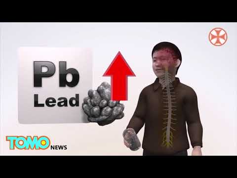 სიახლენი - 12 დეკემბერი , 2018 წ.