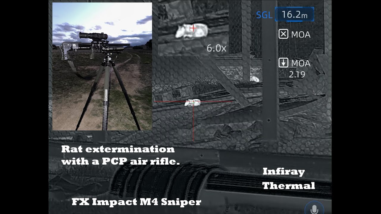Rat extermination with a PCP air rifle ][ Thermal ][ Pt 2. - FX Impact ...