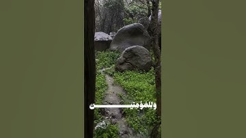 قرآن كريم #السعودية #المصحف #قرآن #اكسبلور #راحة_نفسية
