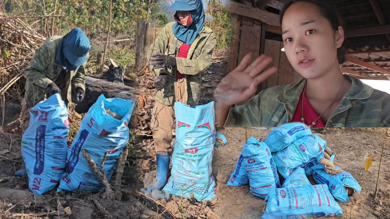 18 มกราคม ค.ศ. 2026