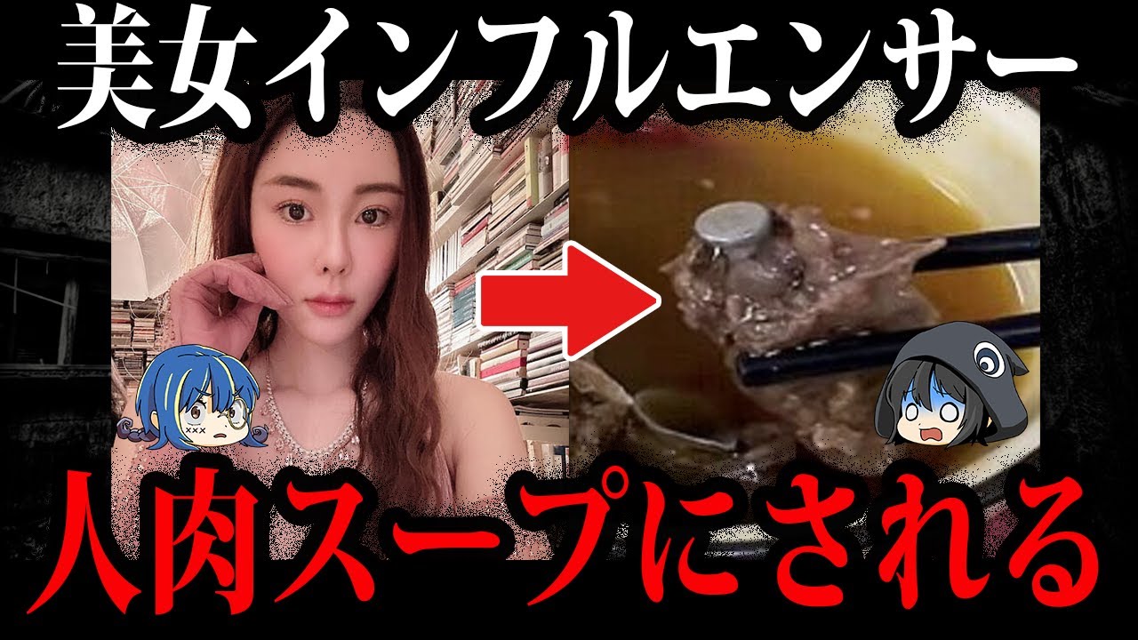 【ゆっくり解説】美女がスープに…インフルエンサーが襲われた事件６選