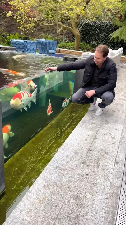 Amazing Outdoor Koi Pond! 🐠