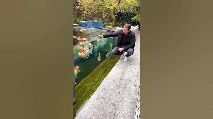 Amazing Outdoor Koi Pond! 🐠
