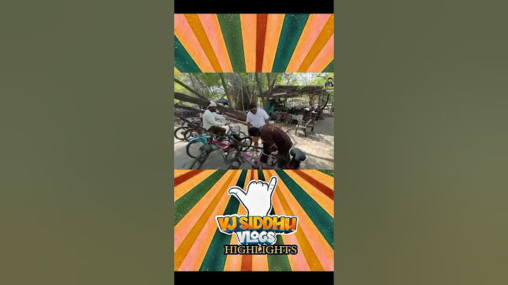 நம்ம Vandalur Zoo-ல இதெல்லாம் இருகா 😱🤯| Vandalur Zoo Series | Ep - 01 | Vj Siddhu Vlogs