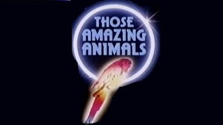 ABC Network - Those Amazing Animals - WLS Channel 7 (Complete Broadcast, 8/31/1980) 📺
