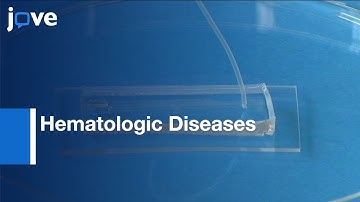 Endothelialized Microfluidics For Studying Microvascular Interactions l Protocol Preview
