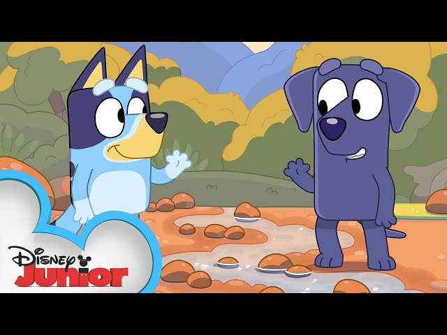 Bluey Fait du Camping 