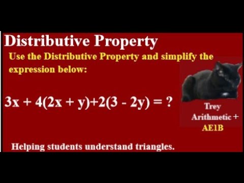 Trey Arithmetic+: Simplify Algebraic Expression 1B with Distributive ...