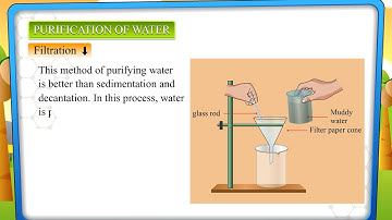 Purification of Water (Science 4 Page 81)